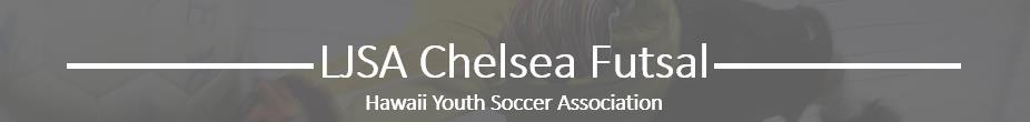 LJSA Soccer Academy Futsal banner